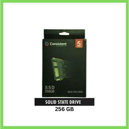 CONSISTENT SOLID STATE DRIVE 256 GB